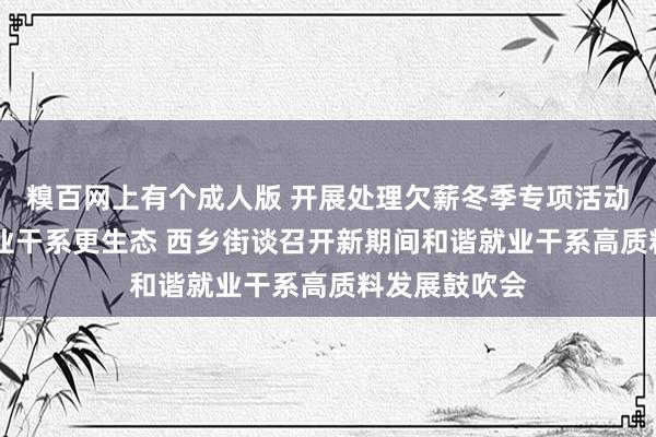 糗百网上有个成人版 开展处理欠薪冬季专项活动 构建和谐就业干系更生态 西乡街谈召开新期间和谐就业干系高质料发展鼓吹会