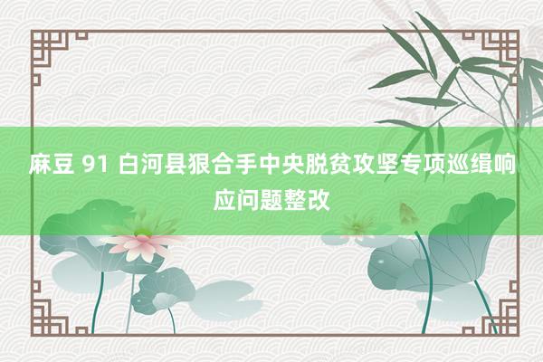 麻豆 91 白河县狠合手中央脱贫攻坚专项巡缉响应问题整改
