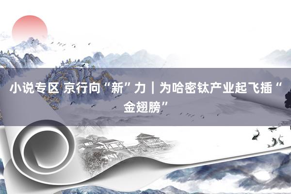 小说专区 京行向“新”力｜为哈密钛产业起飞插“金翅膀”