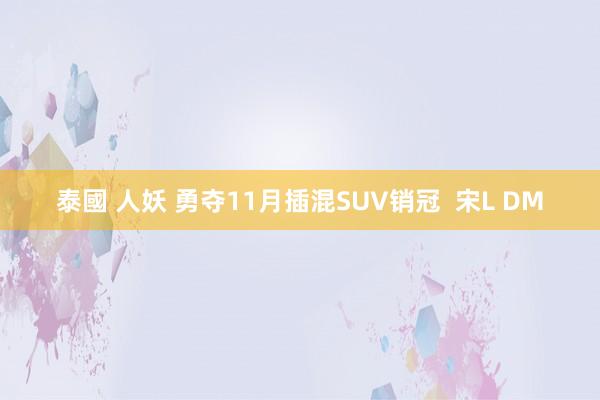 泰國 人妖 勇夺11月插混SUV销冠  宋L DM