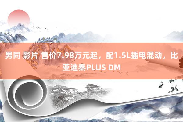 男同 影片 售价7.98万元起，配1.5L插电混动，比亚迪秦PLUS DM