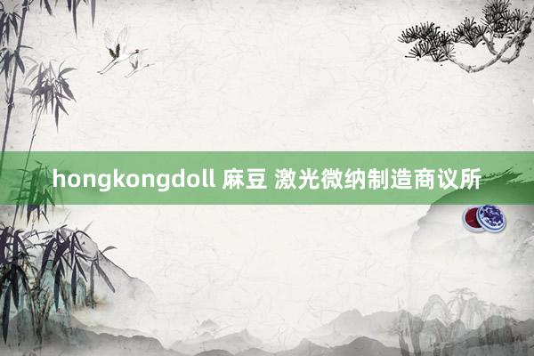 hongkongdoll 麻豆 激光微纳制造商议所