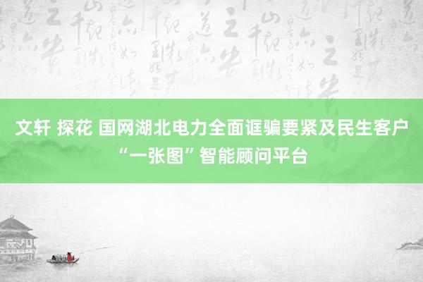 文轩 探花 国网湖北电力全面诓骗要紧及民生客户“一张图”智能顾问平台