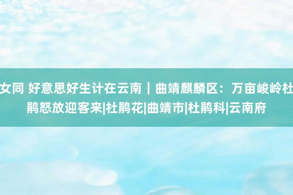 女同 好意思好生计在云南｜曲靖麒麟区：万亩峻岭杜鹃怒放迎客来|杜鹃花|曲靖市|杜鹃科|云南府