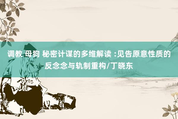 调教 母狗 秘密计谋的多维解读 :见告原意性质的反念念与轨制重构/丁晓东