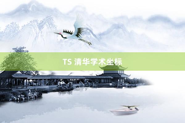 TS 清华学术坐标