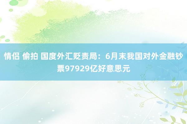 情侣 偷拍 国度外汇贬责局：6月末我国对外金融钞票97929亿好意思元