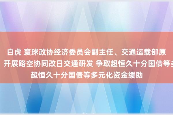 白虎 寰球政协经济委员会副主任、交通运载部原副部长戴东昌：开展路空协同改日交通研发 争取超恒久十分国债等多元化资金缓助
