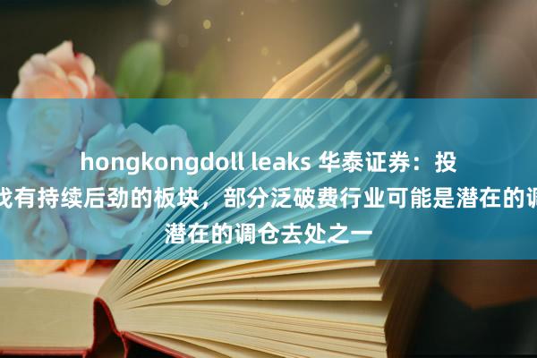 hongkongdoll leaks 华泰证券：投资者运转寻找有持续后劲的板块，部分泛破费行业可能是潜在的调仓去处之一